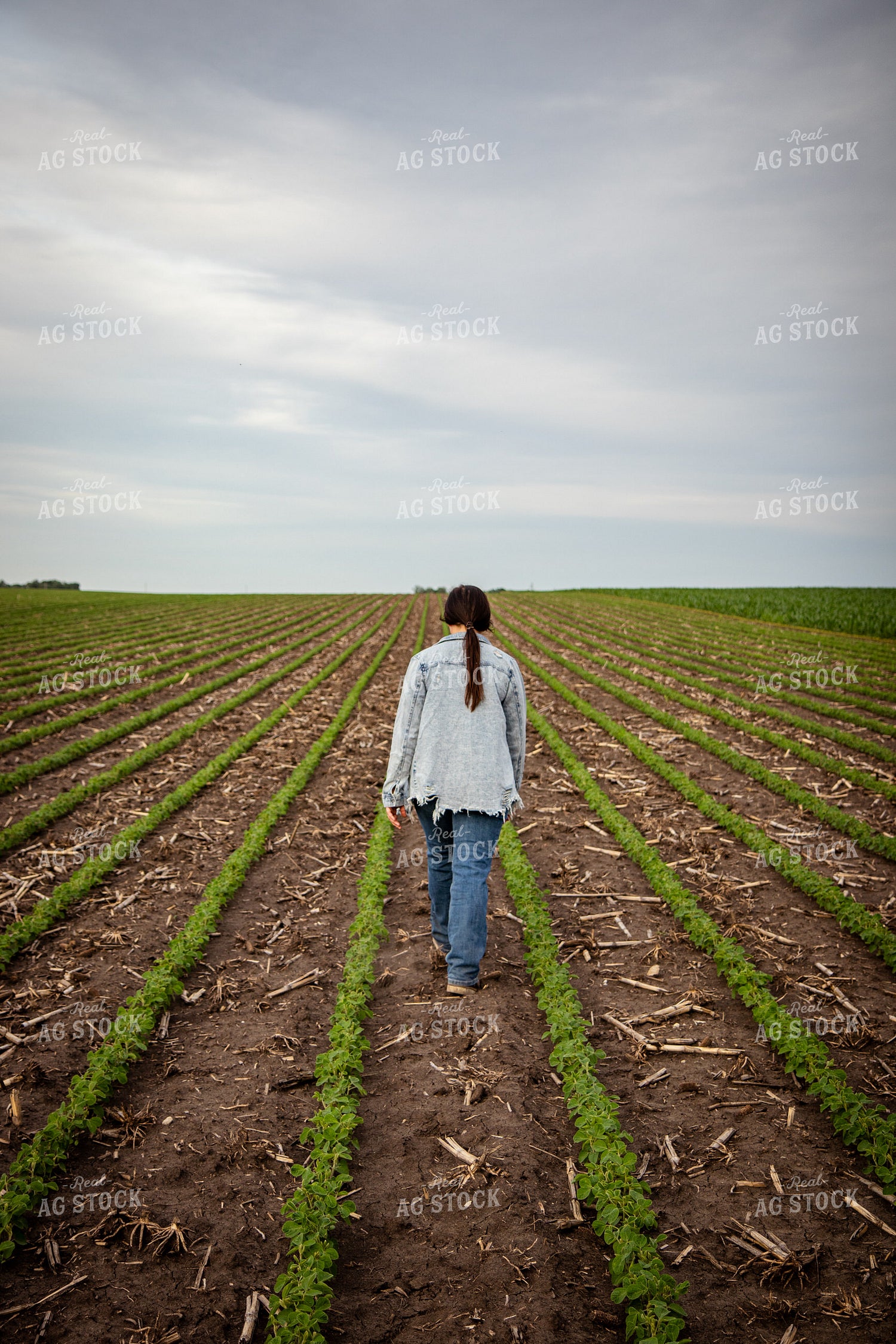 Female Farmer Checking Soybeans 67786