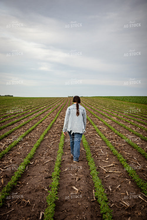 Female Farmer Checking Soybeans 67786
