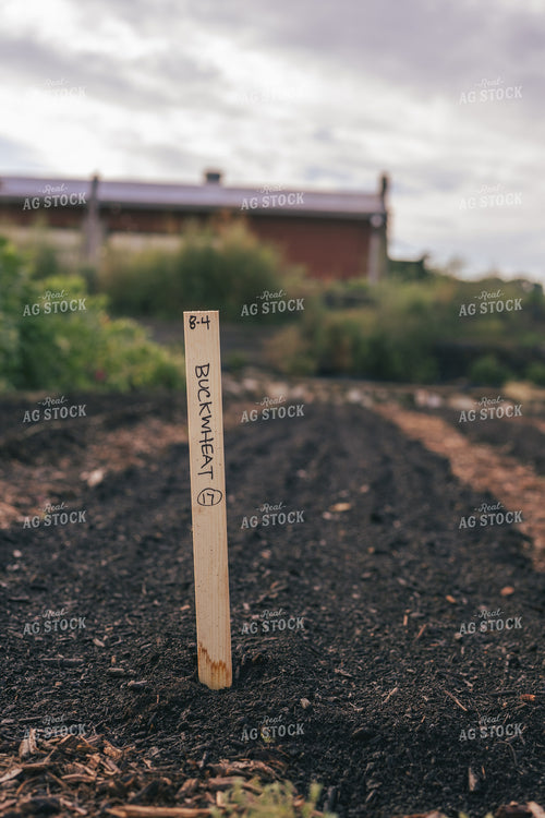 Garden 162020