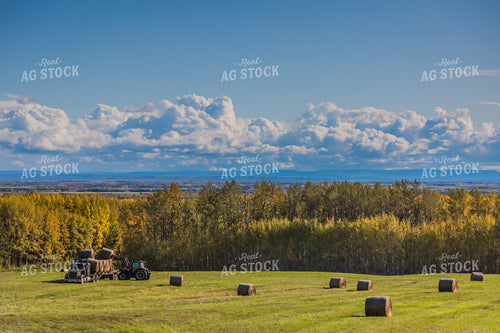 Front-End Loader Tractor Lifting Round Bales onto Trailer in Scenic Pasture 138034