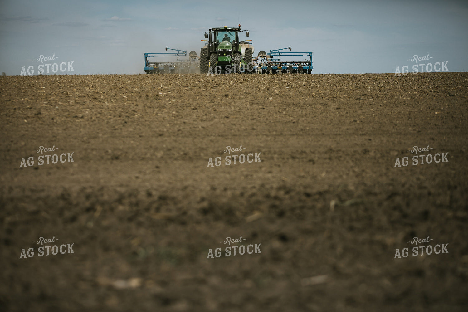 Planting on a Sunny Day 4142