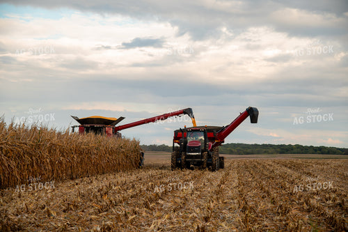 Combine Unloading Corn into Auger Wagon on the Go 25571