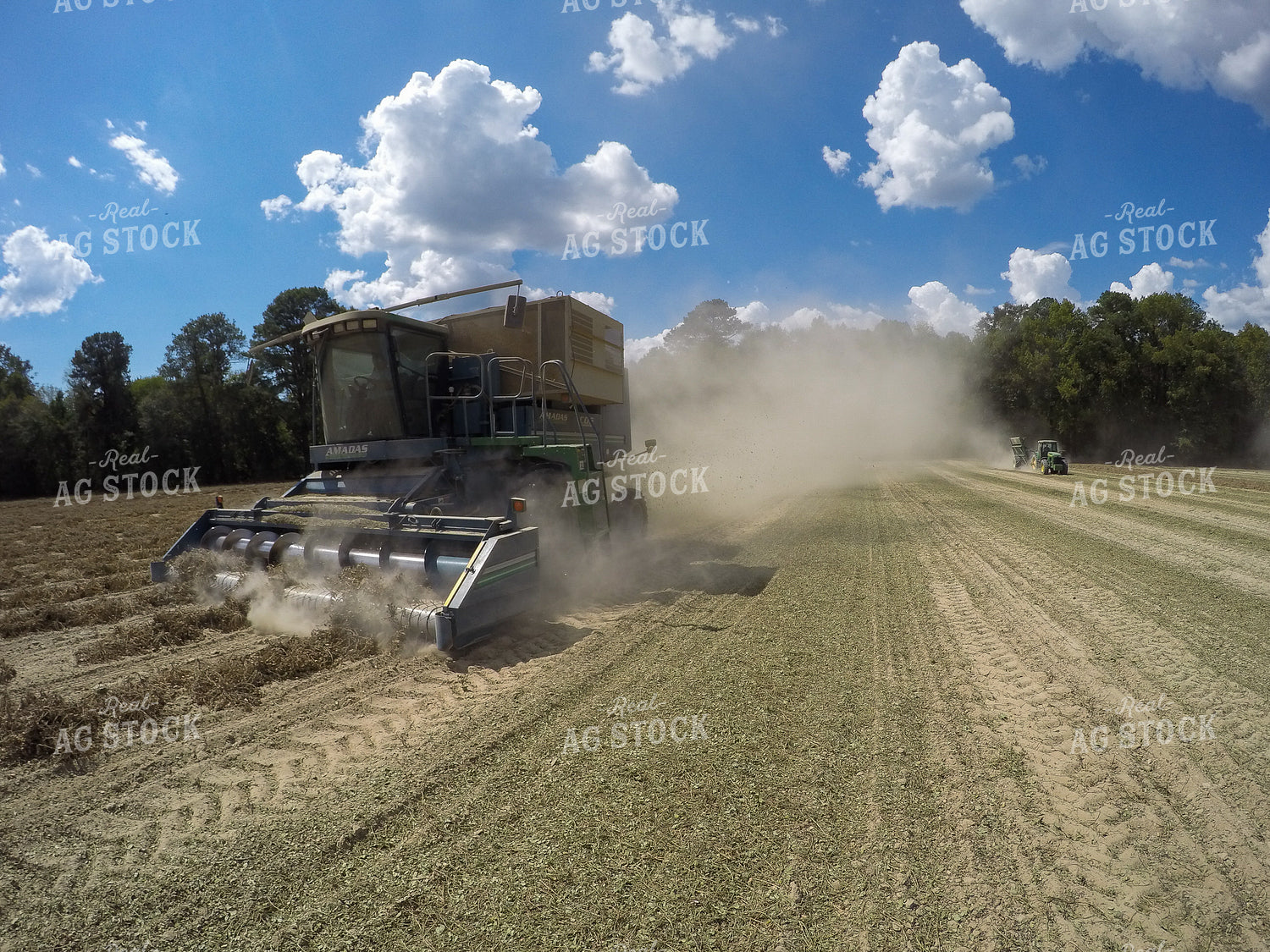 Peanut Harvest 149005