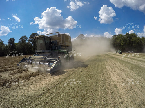Peanut Harvest 149005
