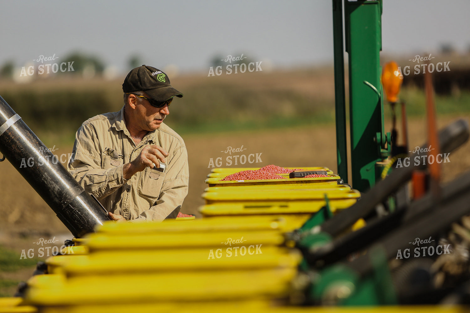 Planting 2877