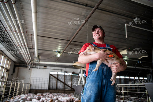 Farmer Holding Piglet 197012