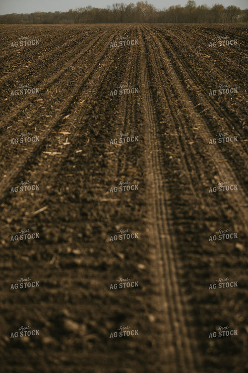 Just Planted Soil in Field 5480