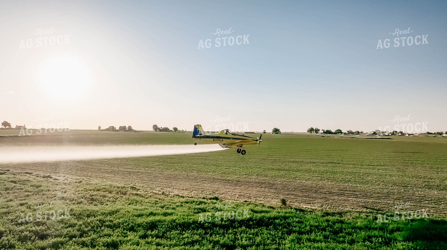 Crop Duster 218048