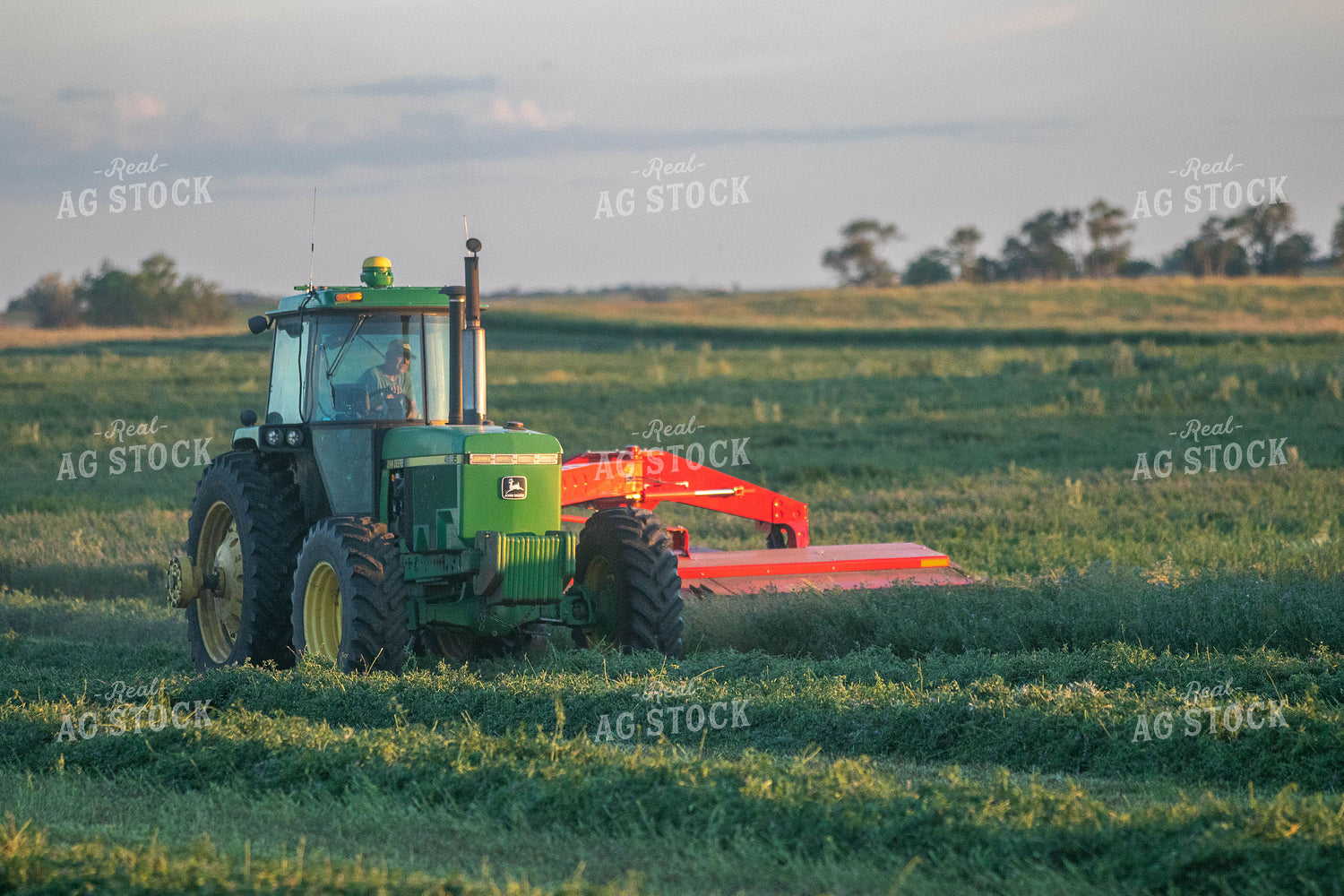 Tractor Cutting Alfalfa 72066