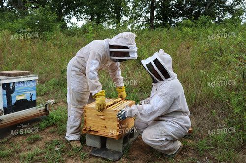 Beekeeper with Bees 201019