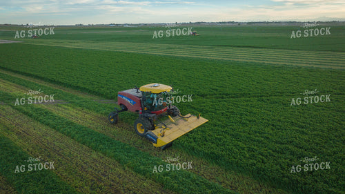 Cutting Alfalfa Hay Drone 56335