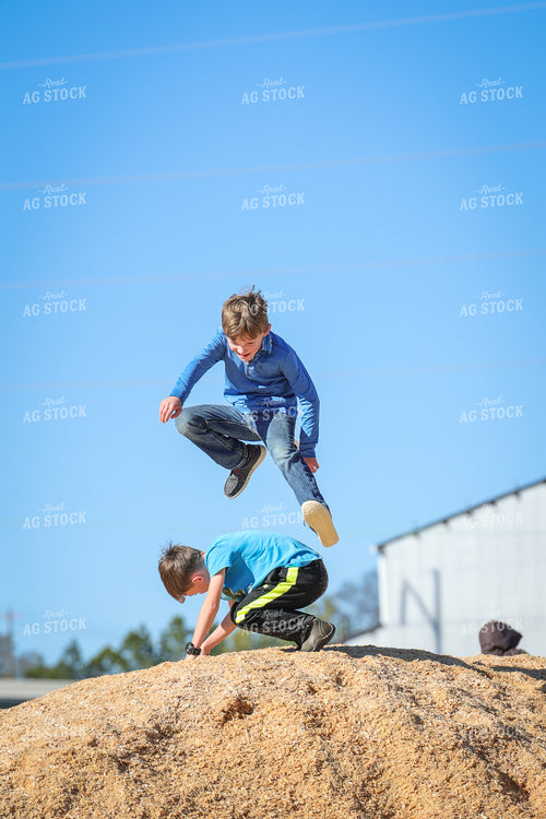 Farm Kids Playing on Bedding Pile 52333