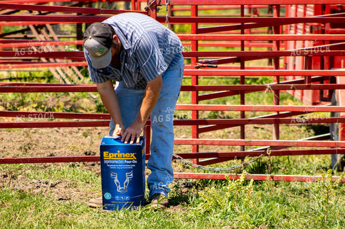 Cattle Pour-On Parasite Control 214288