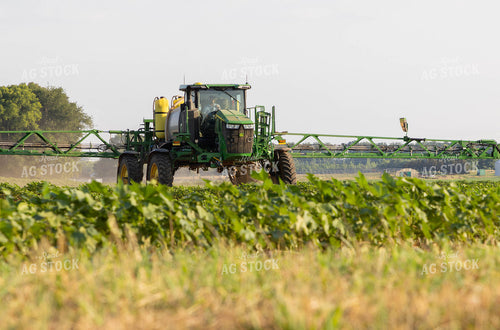 Spraying Cotton 79693