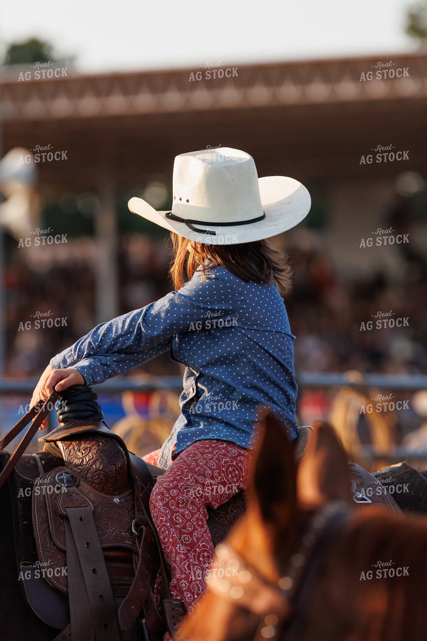 Rodeo 295147