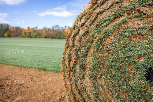 Harvesting Turf 270334