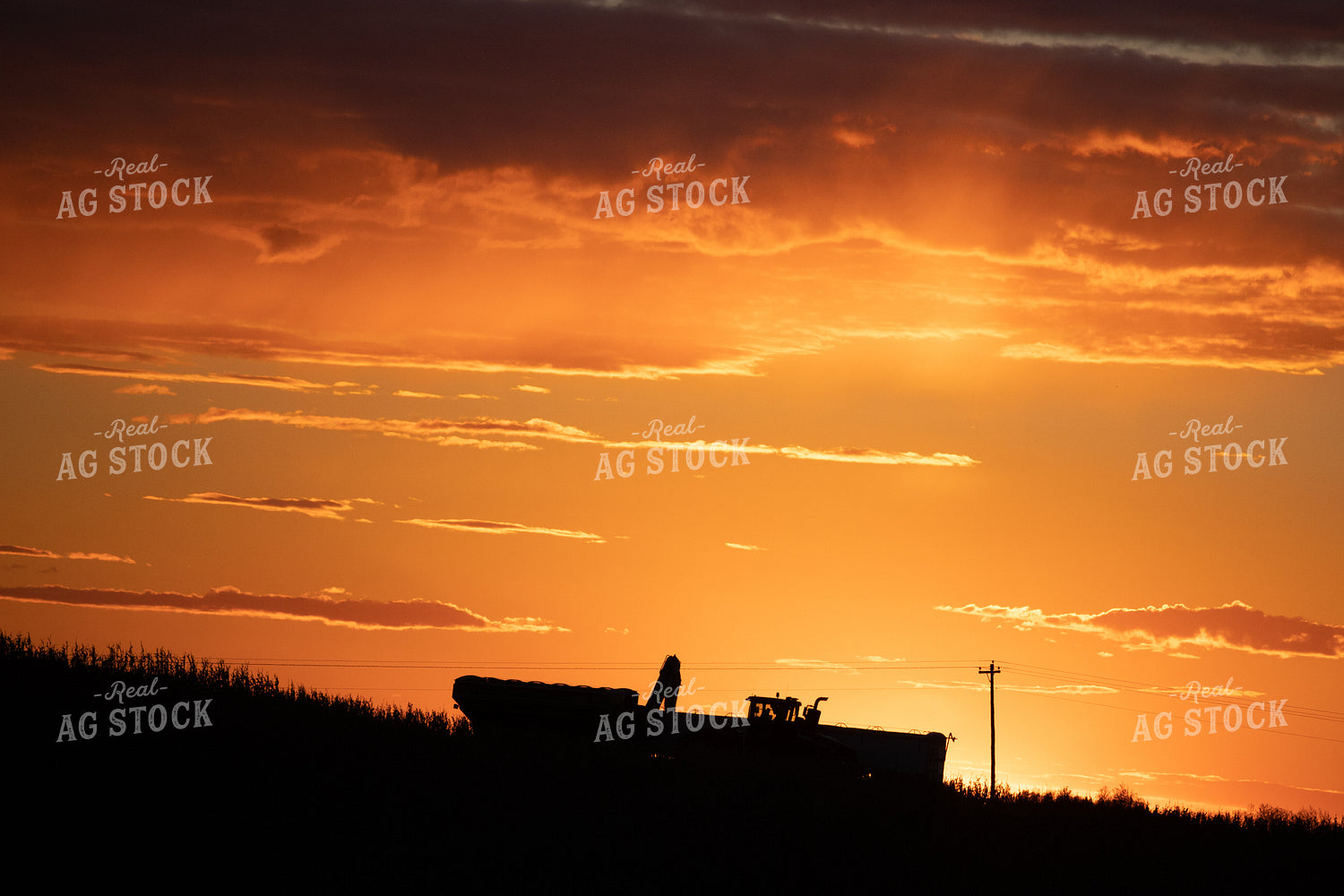 Nebraska Corn Harvest 70014