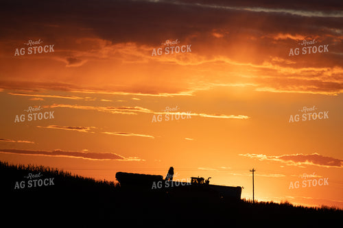 Nebraska Corn Harvest 70014