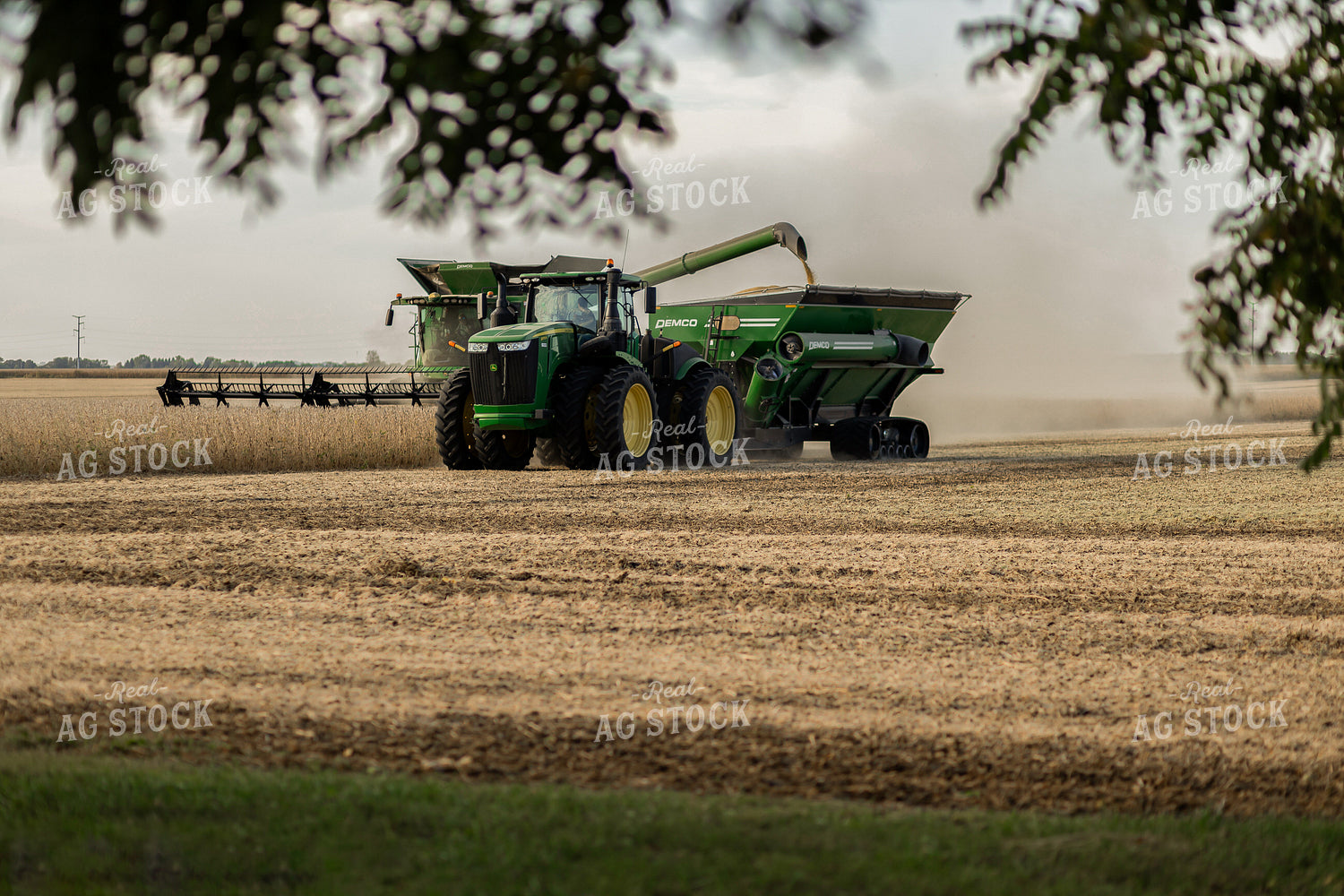 Soybean Harvest 93324