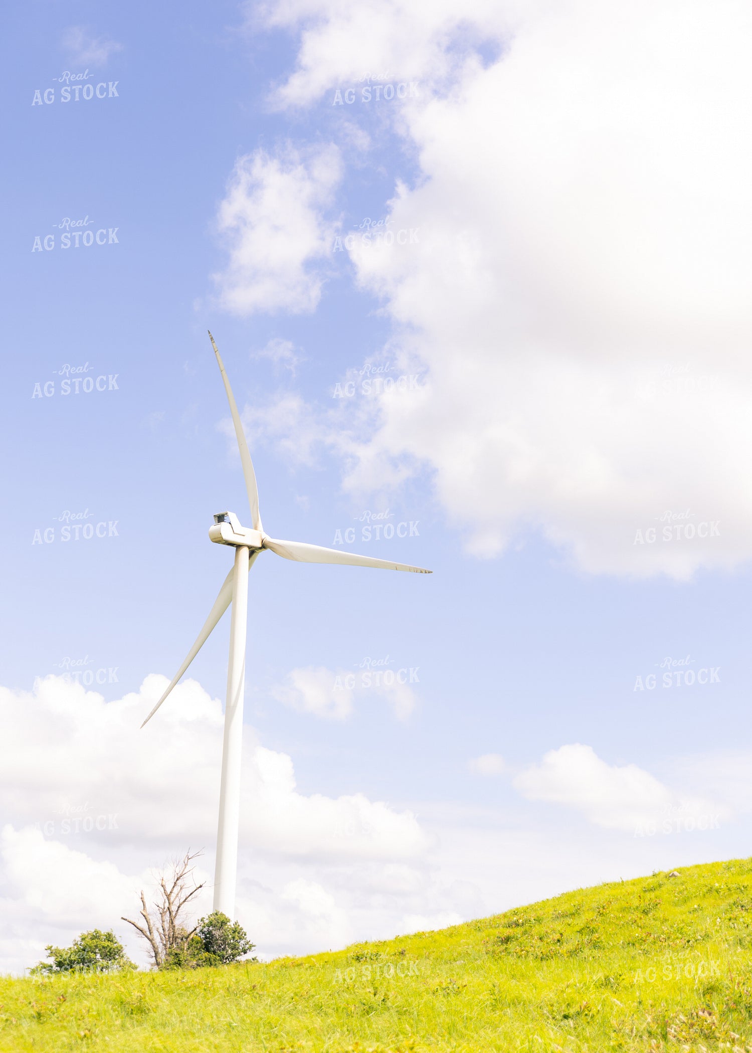 Wind Turbine 264022