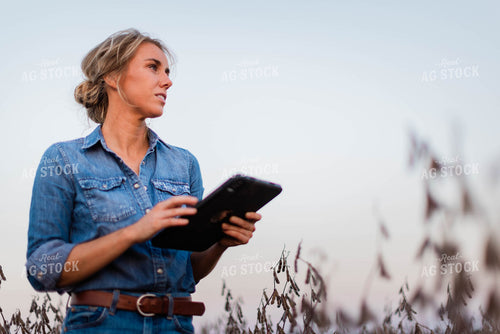 Female Farmer on Tablet in Field 8380