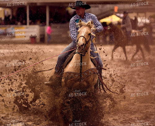 Rodeo 177039