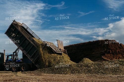 Unloading Harvested Silage 196370