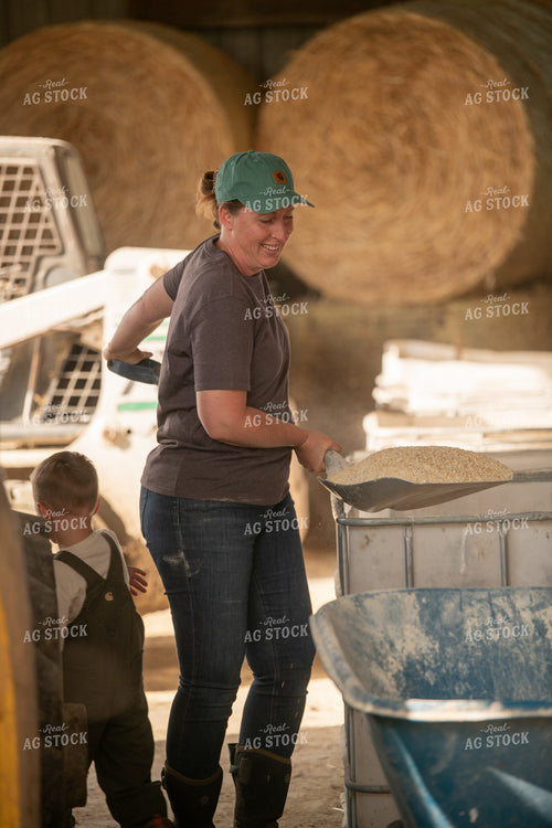 Farmer Feeding Cattle 76621
