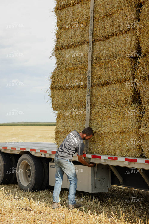 Farmer Securing Straw Bales 296091