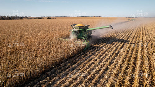 Corn Harvest 114014
