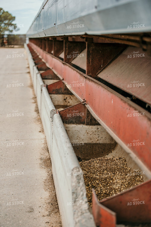 Animal Feed Trough 98029