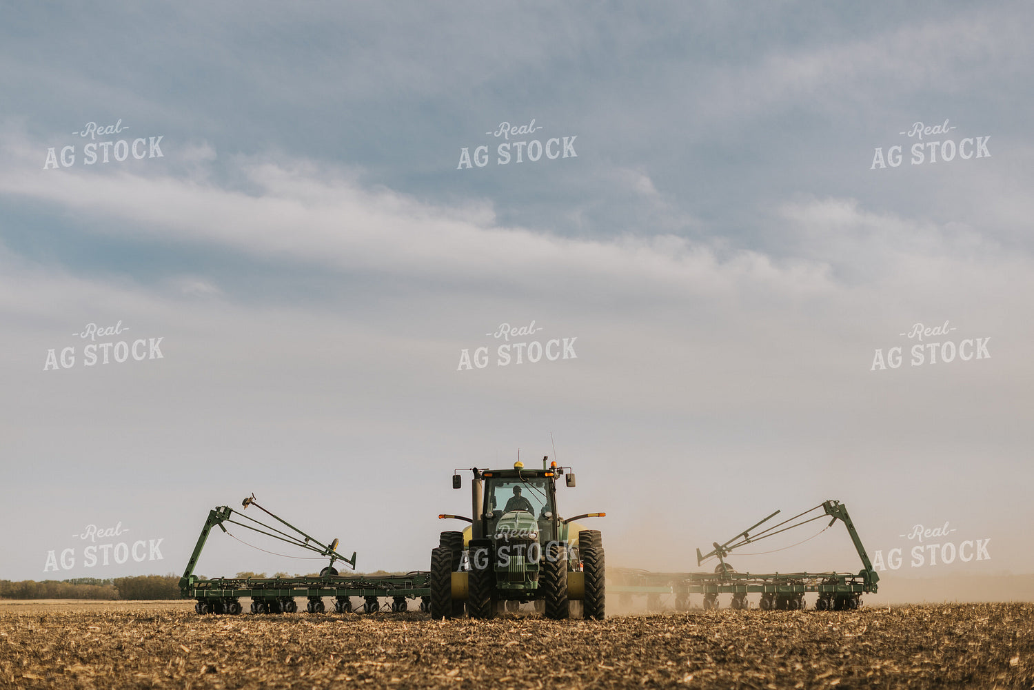 Planting 8195
