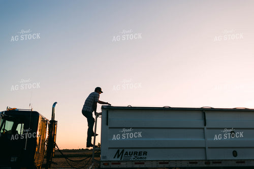 Farmer Climbing on Semi Trailer 8648