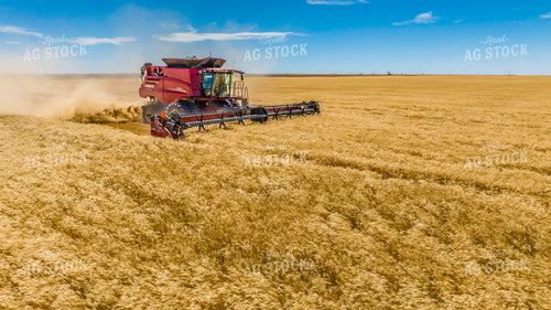 Wheat Harvest 199059