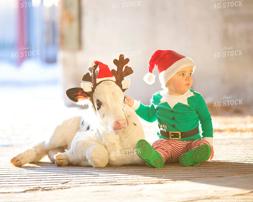 Dairy Calf Farm Kid Christmas 55083