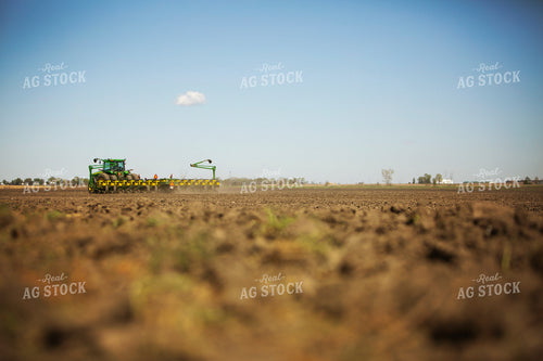 Planting 9698
