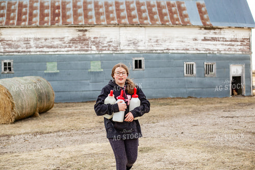 Farm Kid Carrying Calf Bottles 155380