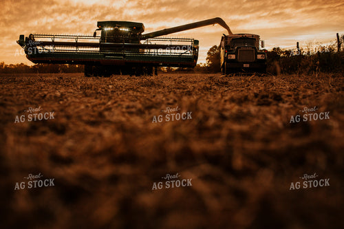 Harvest 2652