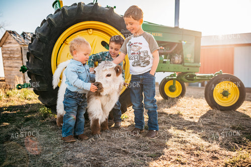 Farm Kids Petting Calf 56583