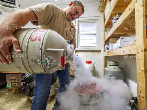Pouring Liquid Nitrogen into Semen Tank 270295