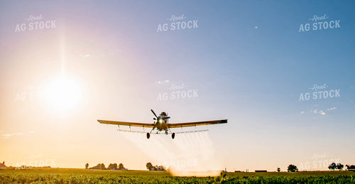 Crop Duster 218022