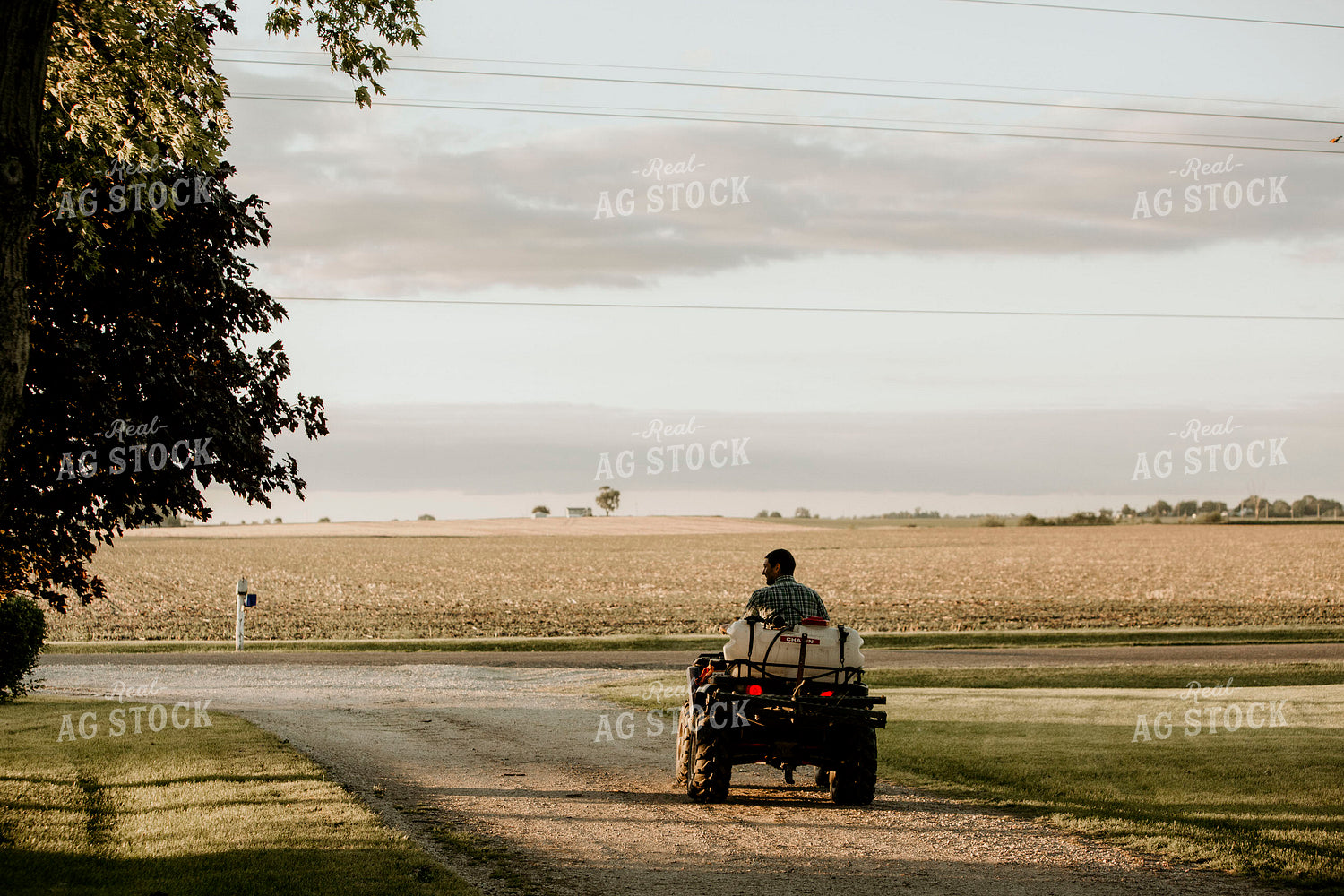 Farmer 2917