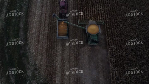 Corn Harvest 215064
