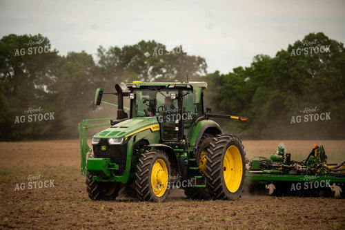 Planting 115672
