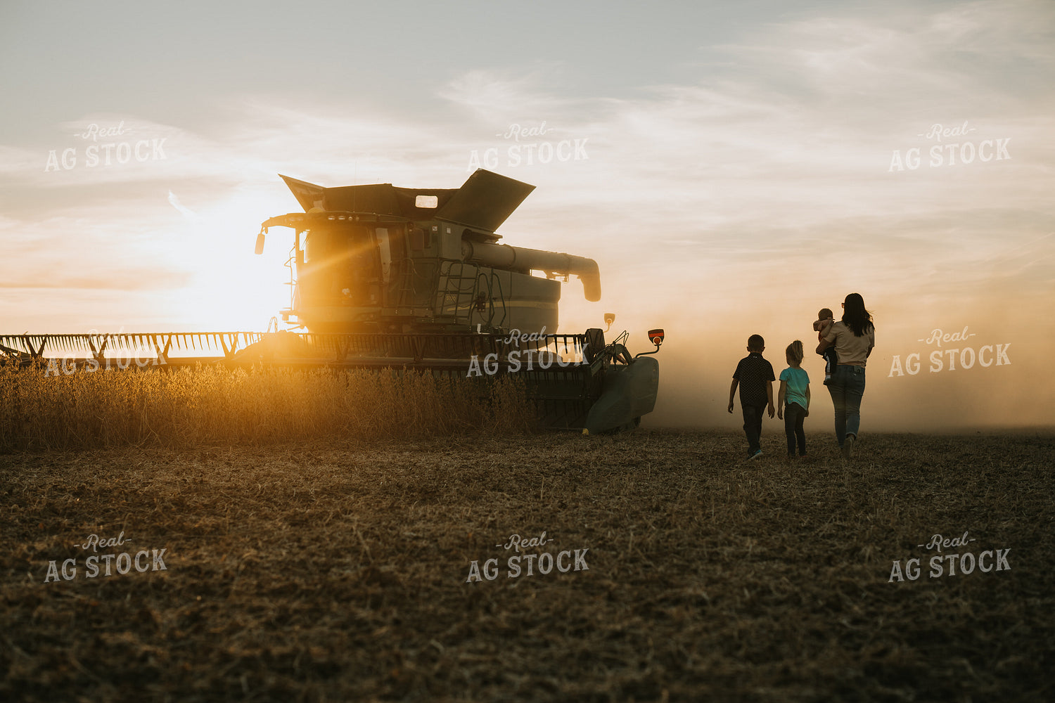 Farm Family in Soybean Field at Dusk 6963