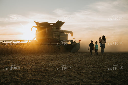Farm Family in Soybean Field at Dusk 6963