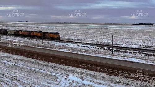 Train 239145
