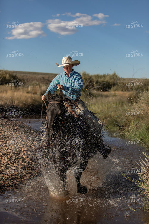 Ranch Kid Riding in Creek 188050