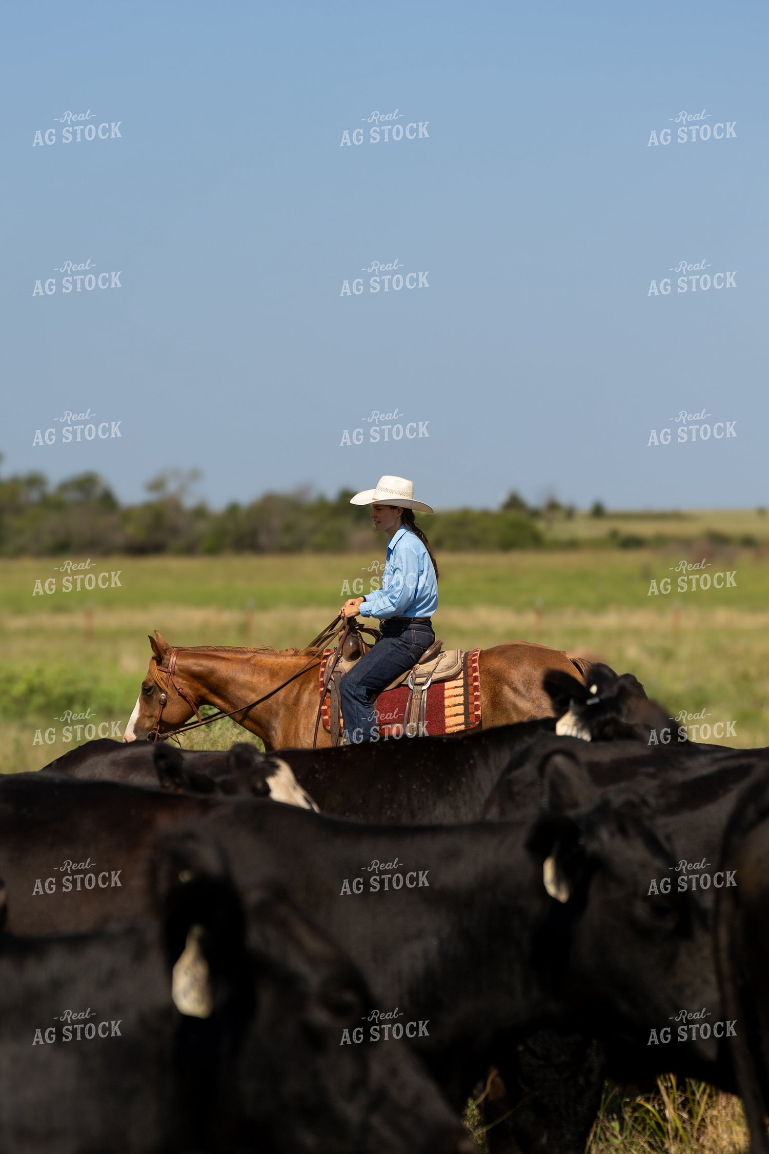 Female Rancher Horseback 71037