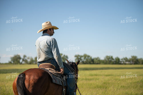 Rancher on Horseback 212042